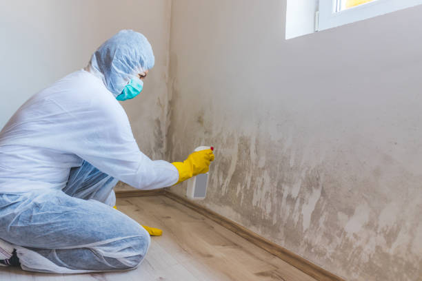 Hvac And Air Duct Mold Remediation inspection of HVAC system in McKinney