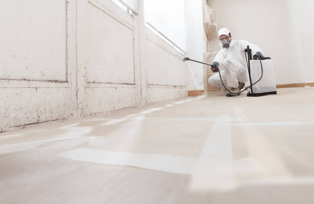 Post-remediation clearance in McKinney
